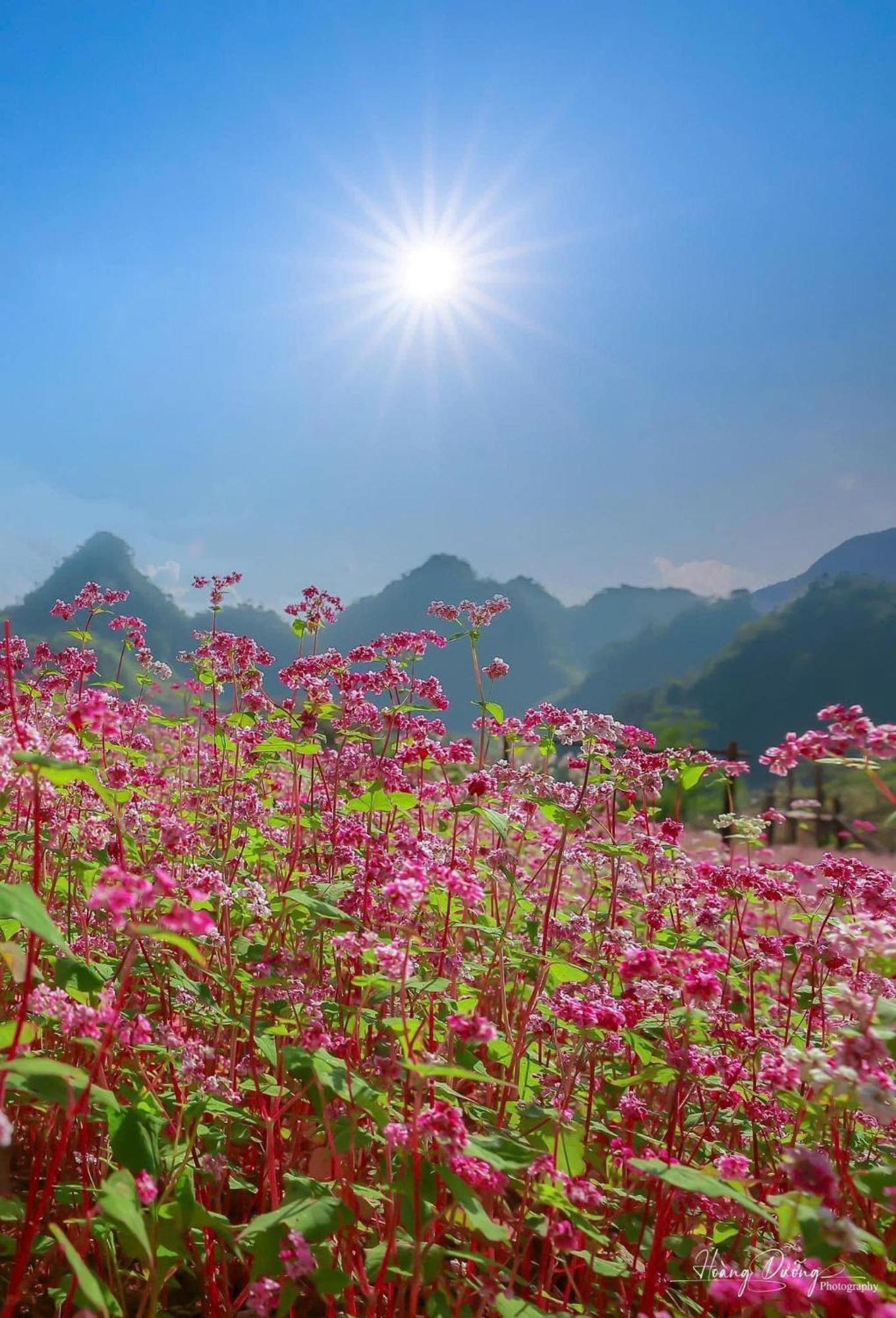 Thuy Anh Hotel Ha Giang Exterior foto